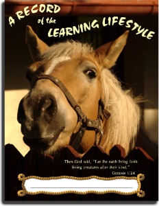 A Record of the Learning Lifestyle Horse Cover