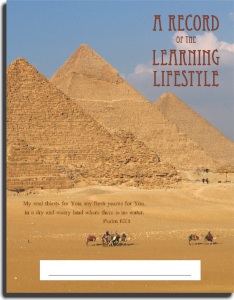 A Record of the Learning Lifestyle Pyramids Cover